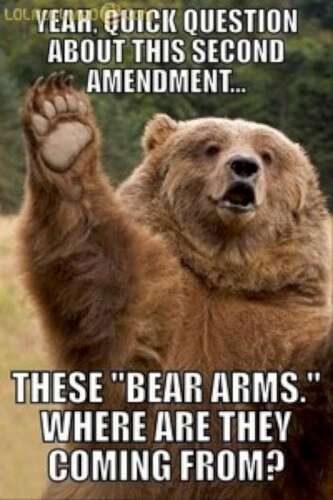 bear-arms-W630
