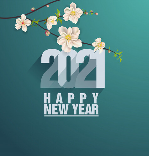 happy-new-year-2021-greetings_71393-408