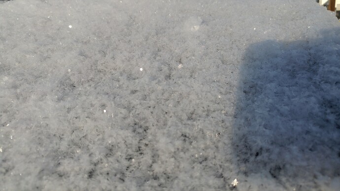 20190219_081736