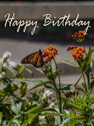 happy-birthday-butterfly