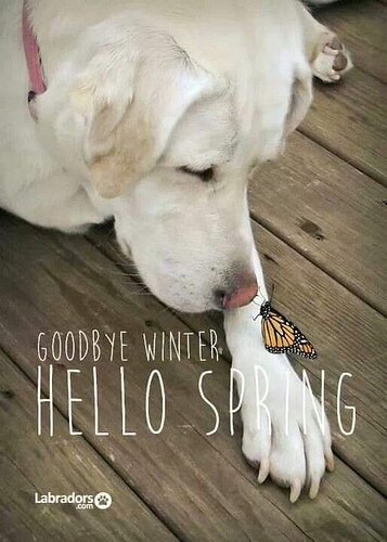 Spring