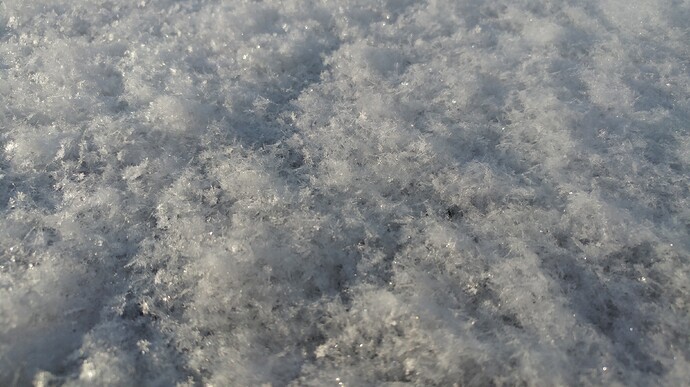 20190219_081625