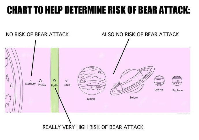 bearattack