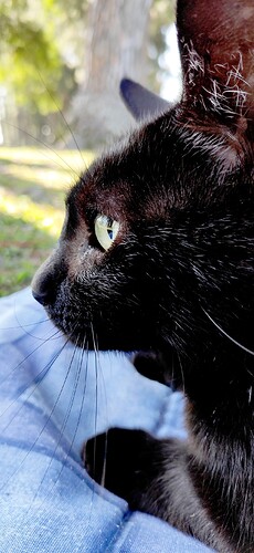 IMG_20191129_163718