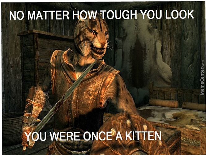 Khajit-was-once-a-kitten-meme-1004011355