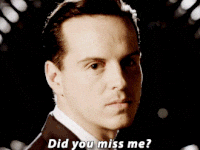 did-you-miss-me-gif-1