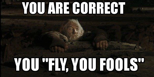 Gandalf%20Fly%20You%20Fools%20MEME