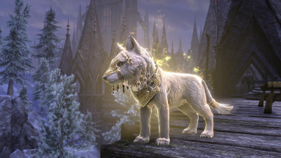 Sovngarde Wolf Pup