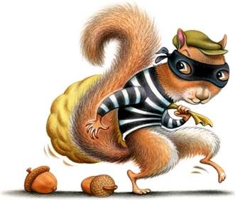 Squirrel Thief