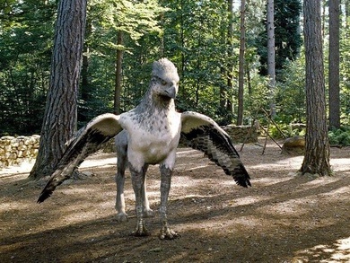 hippogriff-harry-potter