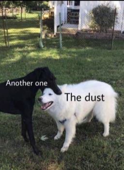 bites