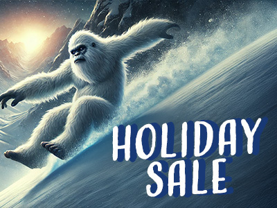 HolidaySale24-Discord1